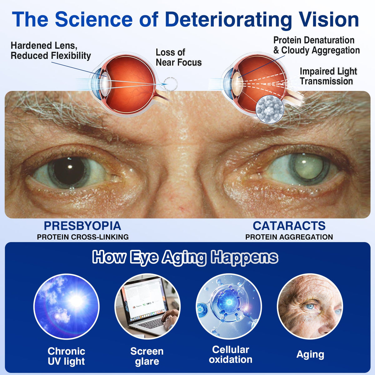 🇨🇦👨‍⚕️✅DR.Fachmer® LensVital Crystalline Degeneration Repair NanoDrops