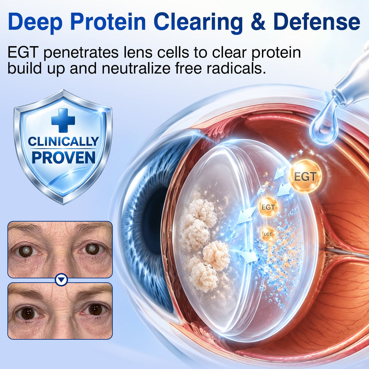 🇨🇦👨‍⚕️✅DR.Fachmer® LensVital Crystalline Degeneration Repair NanoDrops