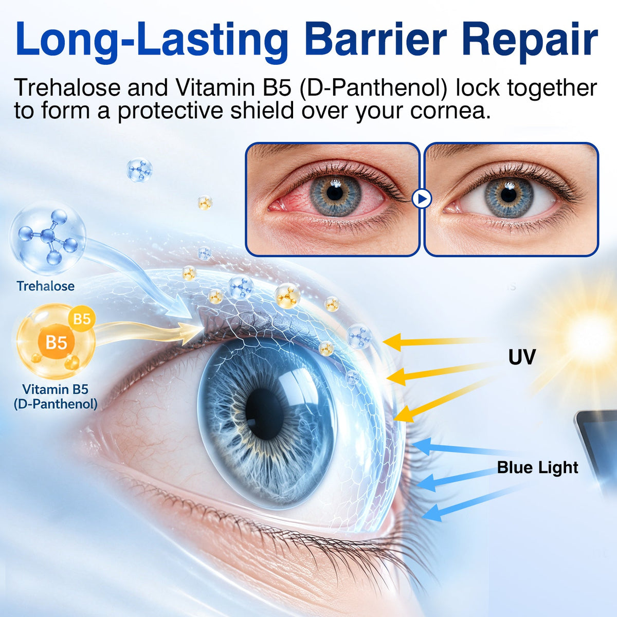 🇨🇦👨‍⚕️✅DR.Fachmer® LensVital Crystalline Degeneration Repair NanoDrops