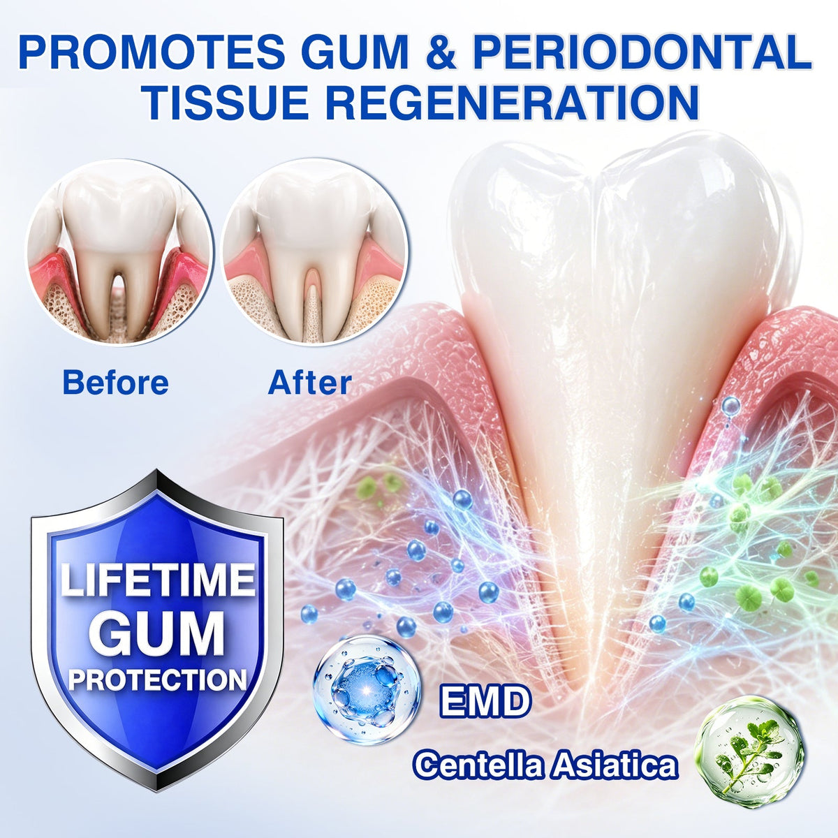 👨‍⚕️☀️🇨🇦🦷Evolvion® GumRevive Periodontal Repair Gel（upsell）